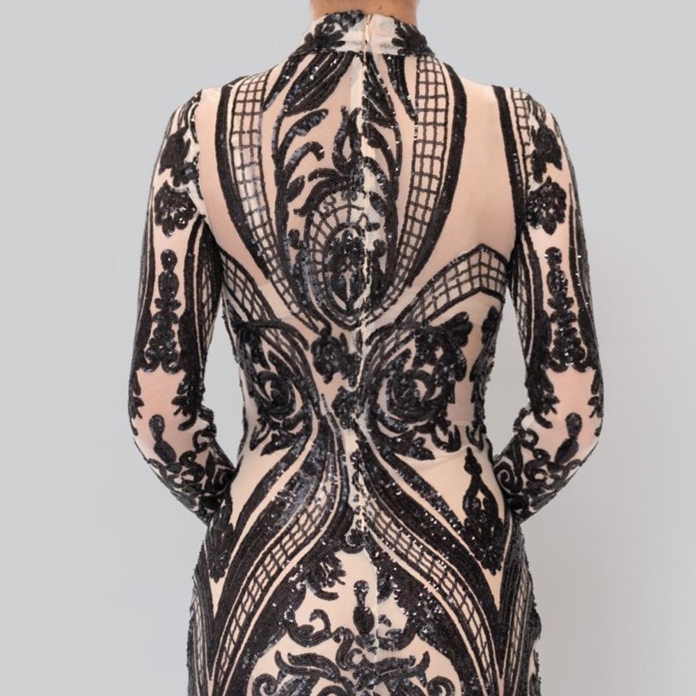 TRANSPARENT FITTED DRESS
